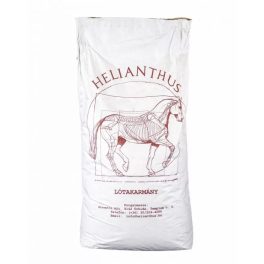 Helianthus