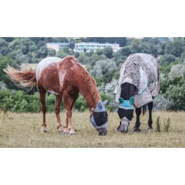 Rovarok, kullancsok elleni védelem