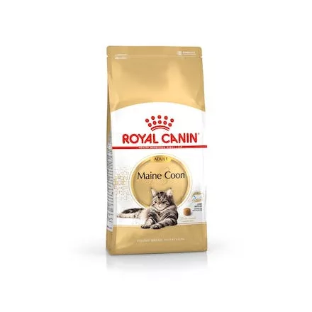 Royal Canin Feline Maine Coon száraztáp 400g lejárat közeli