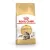 Royal Canin Feline Maine Coon száraztáp 400g
