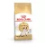 Royal Canin Feline Siamese száraztáp 2kg