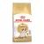 Royal Canin Feline Siamese száraztáp 2kg