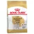 Royal Canin Canine Jack Russell Adult száraztáp 500g