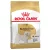 Royal Canin Bichon Frise Adult száraztáp 500g