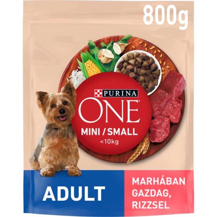 Purina ONE Mini/Small Adult - száraztáp kutyák részére 800g