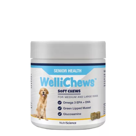 NutriScience WelliChews dog SENIOR egészség támogató funkcionális jutalomfalat idős közepes és nagytestű kutyának 60db 