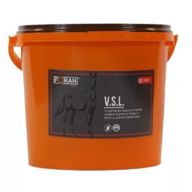  Foran V.S.L. E-vitamin, szelén és lizin kiegészítés lovaknak 10 kg
