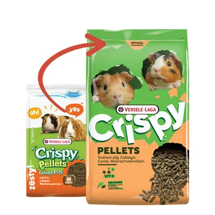 Versele-Laga Crispy Pellets Guinea Pig tengerimalac eleség  2kg (461819)
