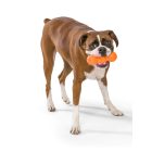 West Paw Rumpus M gumi rágójáték kutyának, narancs