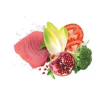 Exclusion Mediterraneo Monoprotein Adult Tuna Medium száraztáp kutyának 3kg