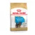 Royal Canin Yorkshire Terrier Puppy száraztáp 7,5kg