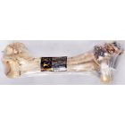 Jack marha lábszárcsont - jutalomfalat kutyák részére