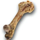 Jack marha lábszárcsont - jutalomfalat kutyák részére