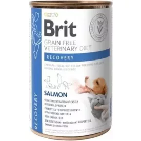   Brit GF Veterinary Diets Dog & Cat Can Recovery konzerv kutyáknak és macskáknak 400g