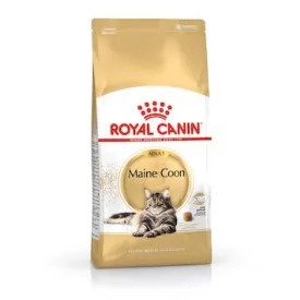 Royal Canin Feline Maine Coon száraztáp 10kg