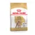 Royal Canin Canine Poodle száraztáp 1,5kg