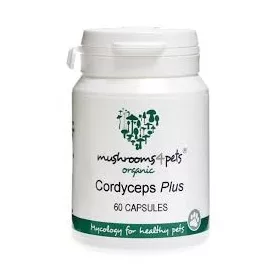 Cordyceps Plus (500mg) 60kapszula