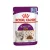 Royal Canin Feline Sensory Taste Jelly alutasak 12x85g