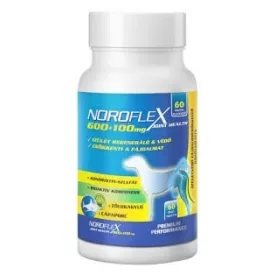 Noroflex ízületvédő tabletta 60db 
