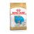 Royal Canin Canine French Bulldog Puppy száraztáp 1kg