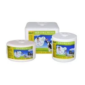   Bronchial mikroelemes nyalósó vitaminokkal, menta és eukaliptusz olajjal 3kg