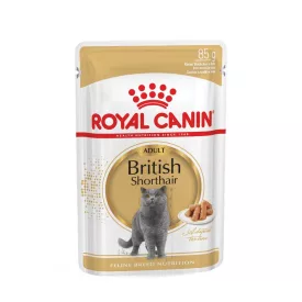 Royal Canin British Shorthair Alutasakos 12x85g
