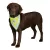 Trixie 30121 Safety Neckerchief - Fényvisszaverős kutyakendő XS-S