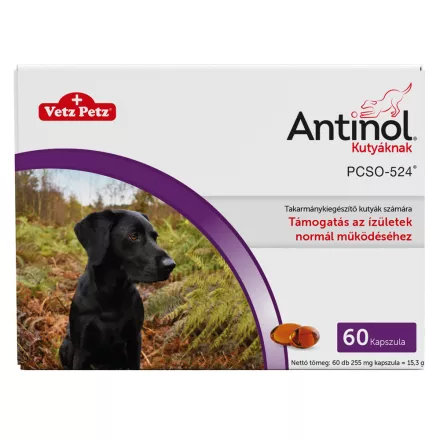 Antinol komplex izületvédő kapszula kutyáknak 60db