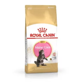 Royal Canin Feline Kitten Maine Coon száraztáp 2kg