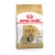 Royal Canin Canine Shih Tzu száraztáp 500g