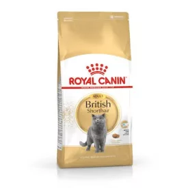 Royal Canin Feline British Shorthair száraztáp 400g