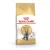 Royal Canin Feline British Shorthair száraztáp 400g