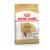 Royal Canin Canine Beagle Adult száraztáp 3kg