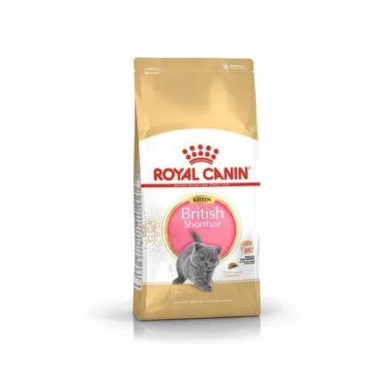 Royal Canin Feline British Shorthair Kitten száraztáp 400g lejárat közeli