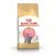 Royal Canin Feline British Shorthair Kitten száraztáp 400g lejárat közeli