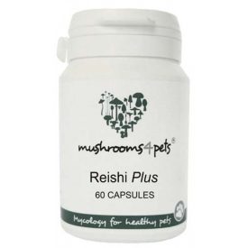Reishi Plus kapszula 450mg  60x