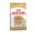 Royal Canin Canine Chihuahua Adult száraztáp 500g 