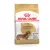 Royal Canin Dachshund Adult száraztáp 500g