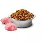 N&D Brown Dog bárány, spirulina & sárgarépa adult mini száraz kutyatáp 2kg