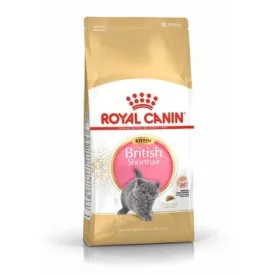 Royal Canin Feline British Shorthair Kitten száraztáp 2kg