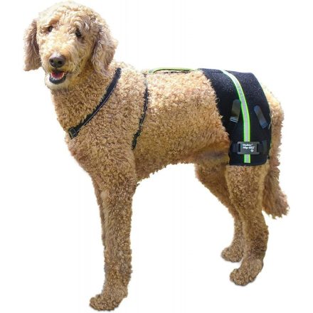 Walkinpets - Hip-EEZ Support System kutyáknak S (7-10kg)