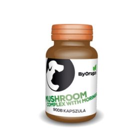 Byorigin Mushroom Complex - Immunerősítő Gomba kapszula 