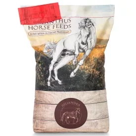 Helianthus Sport komplett lótáp 20kg
