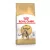 Royal Canin Feline Adult Bengál száraztáp 2kg lejárat közeli