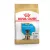 Royal Canin Canine German Shepherd Puppy száraztáp 12kg