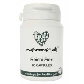 Reishi Flex 400mg kapszula  