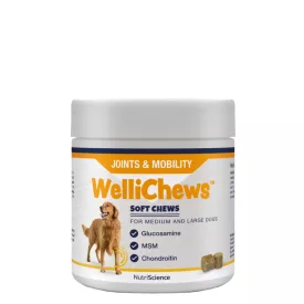   NutriScience WelliChews dog JOINT ízület támogató funkcionális jutalomfalat közepes és nagytestű kutyának 60db 