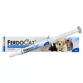 Ferdocat gél 6g