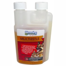   Equimin BP Milk Thistle-Máriatövis (őszbogáncs) oldat 250 ml