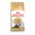 Royal Canin Feline Persian száraztáp 400g
